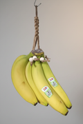 Banana Holder